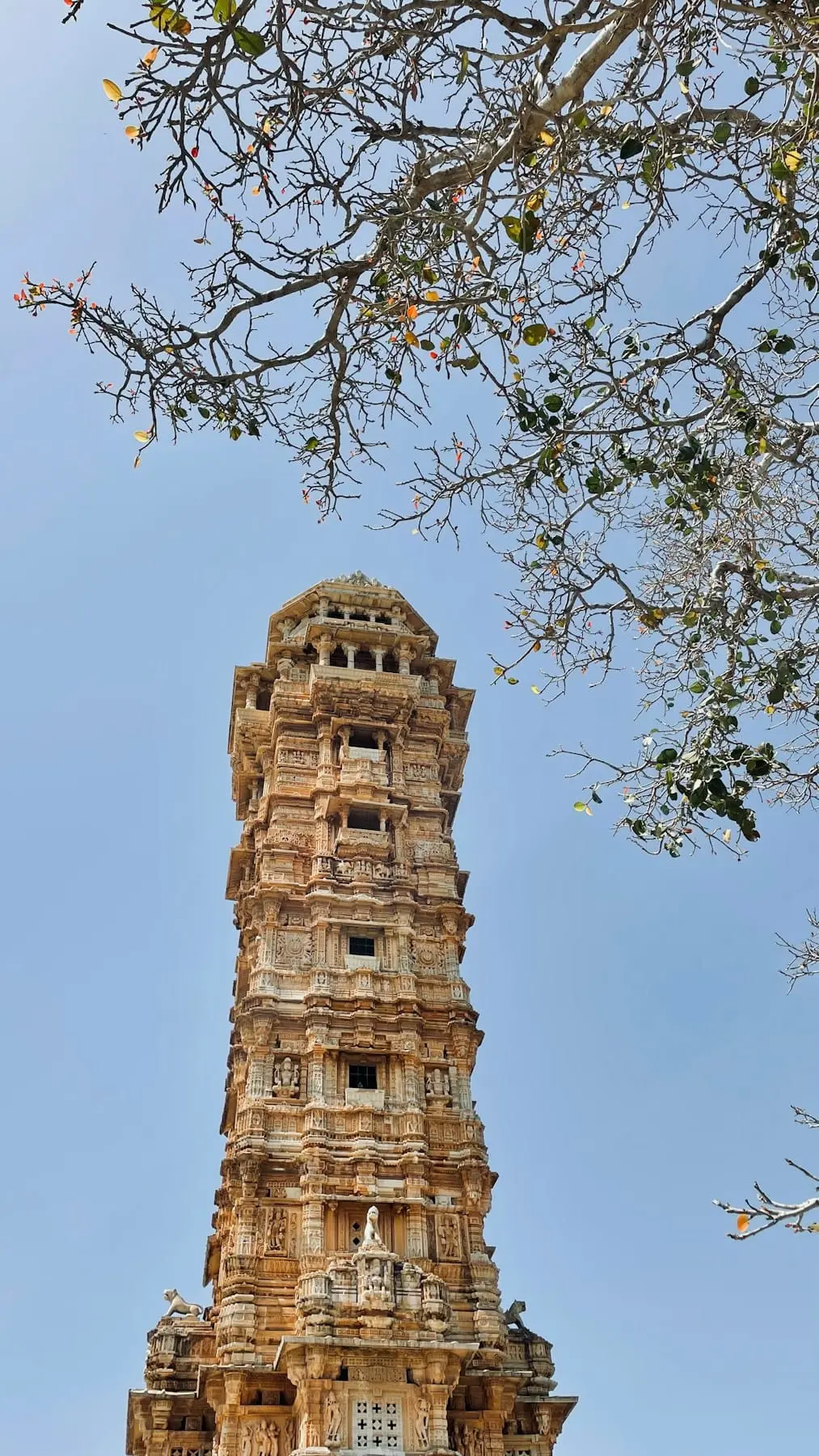 The carved stone Vijay Stambh tower at Chittorgarh against a blue sky, framed by tree branches
