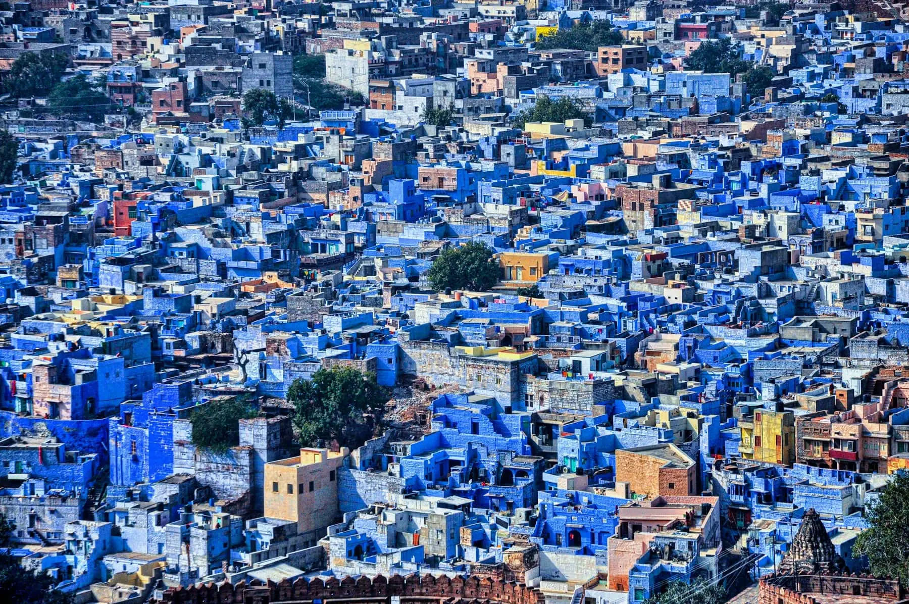 Rooftops of Jodhpur's old city crowded with blue-painted houses, seen from above